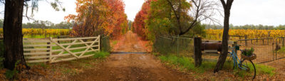 Autumn Colour Margaret river image