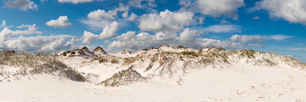 ESP15e - Dunes at Tagon Beach, Cape Arid National Park, Esperance, Western Australia